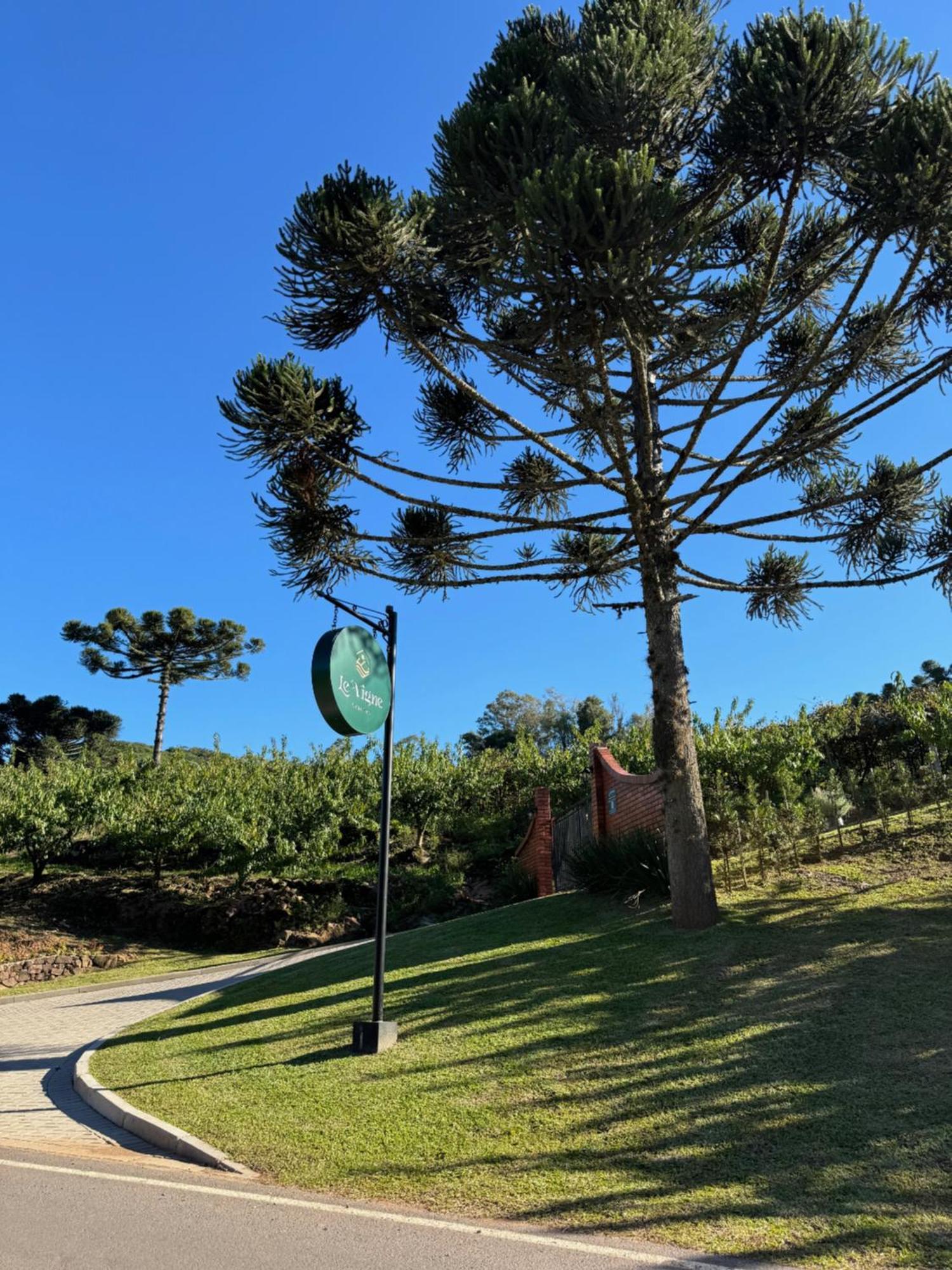 Cabanas Le Vigne Pinto Bandeira Exteriör bild
