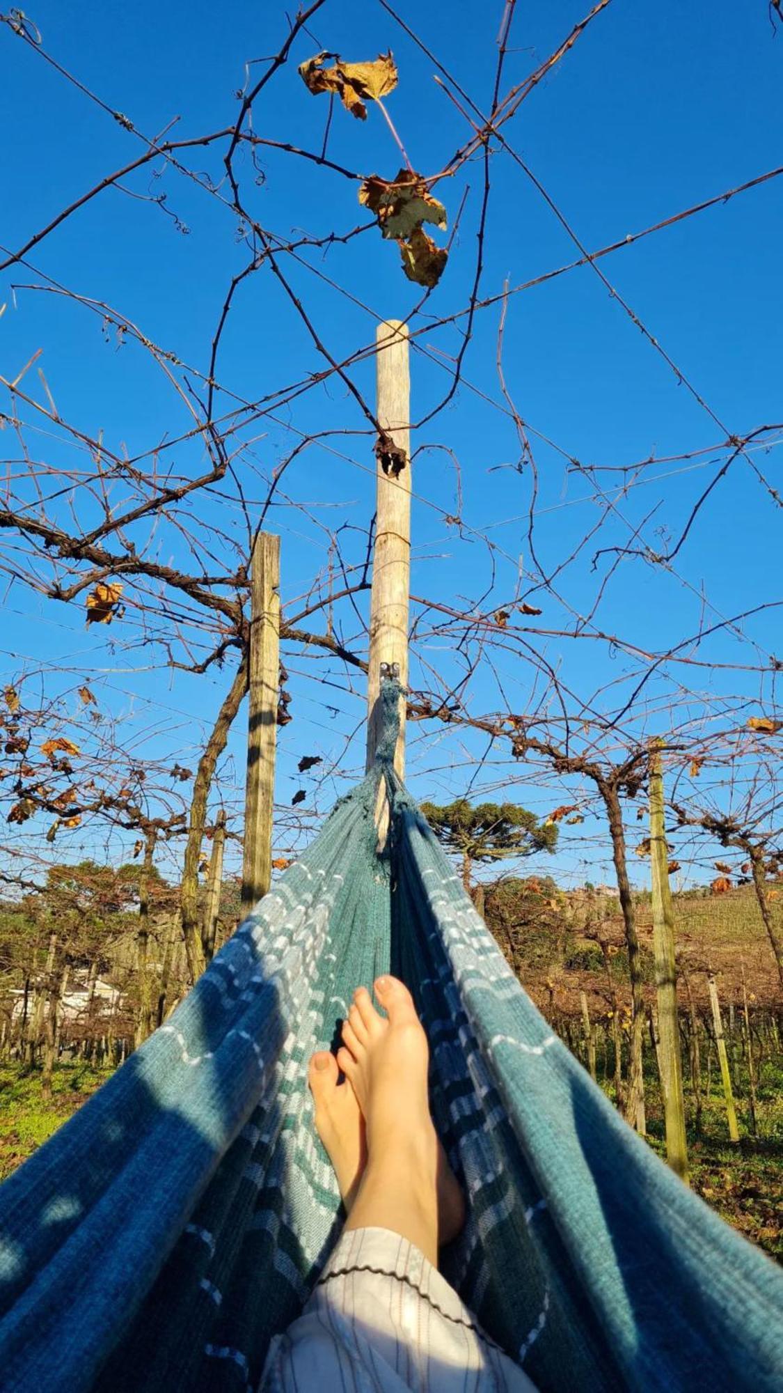 Cabanas Le Vigne Pinto Bandeira Exteriör bild