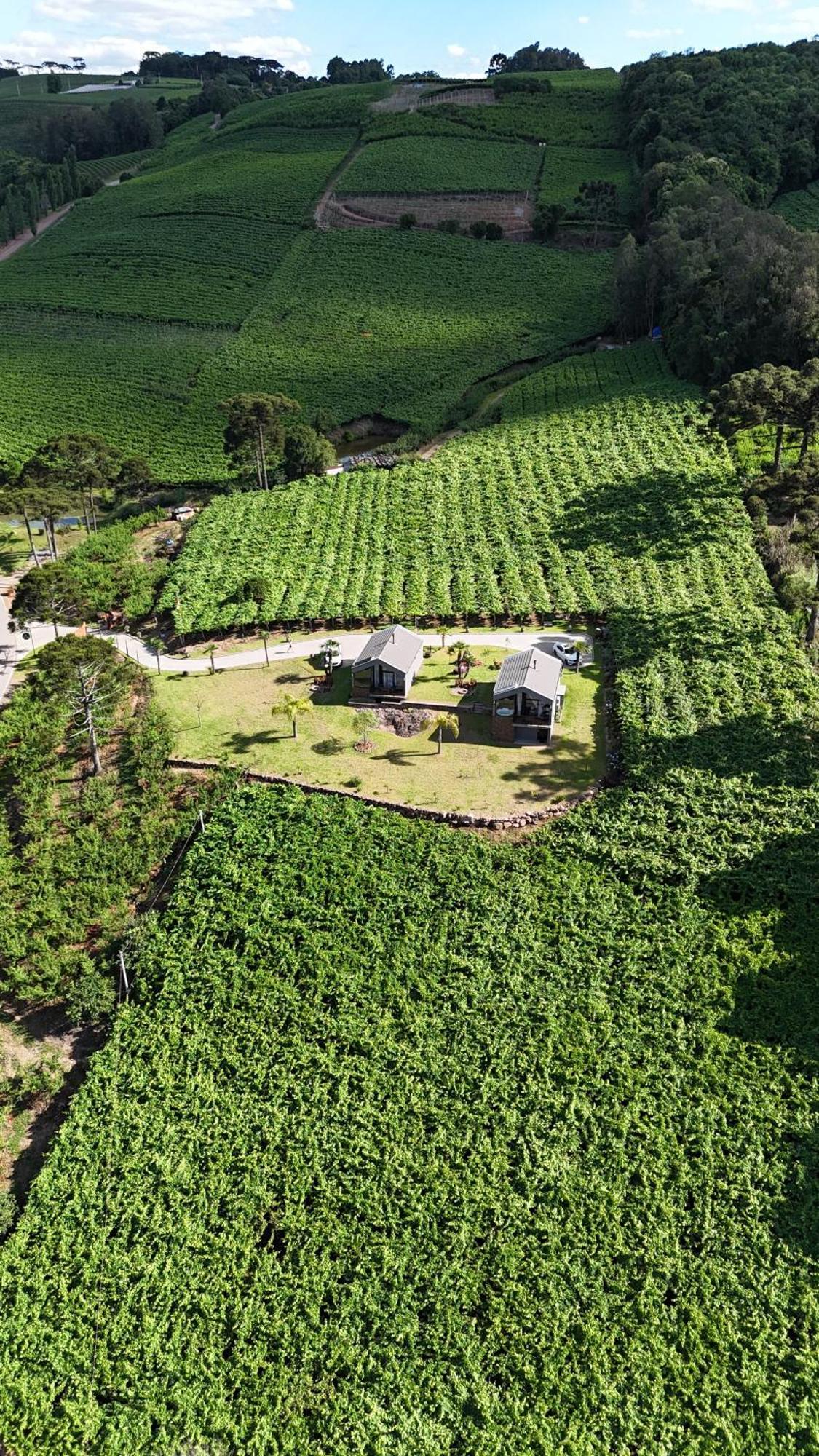 Cabanas Le Vigne Pinto Bandeira Exteriör bild