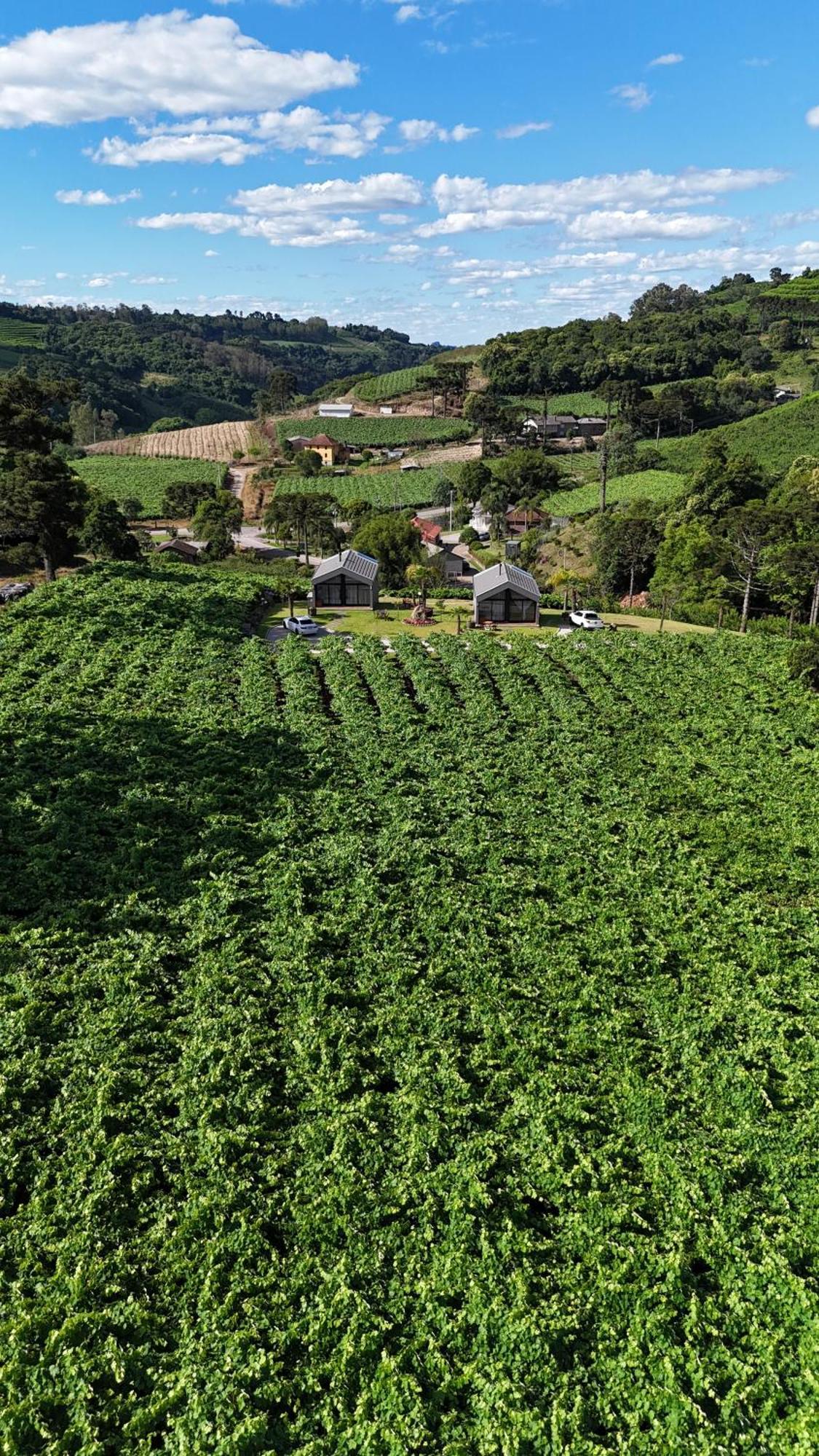 Cabanas Le Vigne Pinto Bandeira Exteriör bild