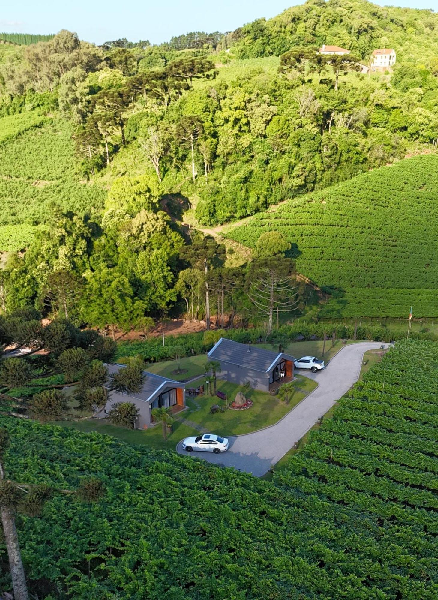 Cabanas Le Vigne Pinto Bandeira Exteriör bild